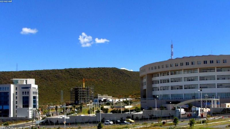 推特网页版在浏览器中呈现全球实时信息流的界面